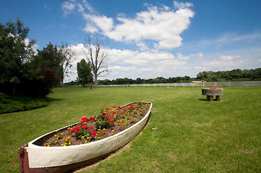 Logis Hotel Restaurant La Vieille Ferme, Macon Nord Sance Экстерьер фото