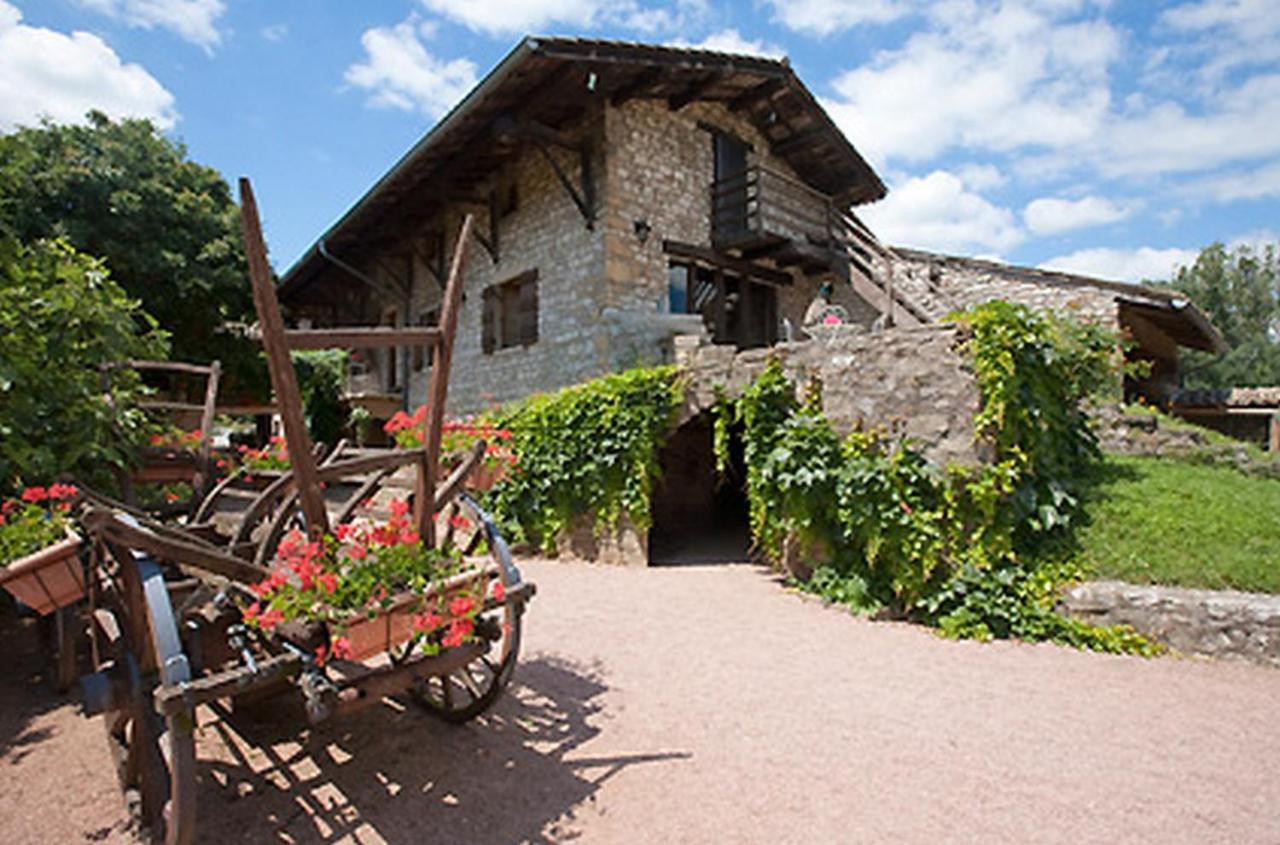 Logis Hotel Restaurant La Vieille Ferme, Macon Nord Sance Экстерьер фото